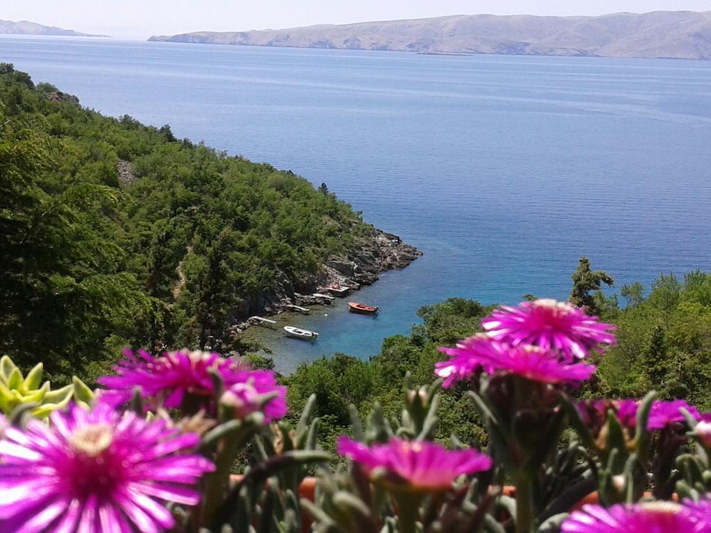 Adria * Senj (Lika-Senj)